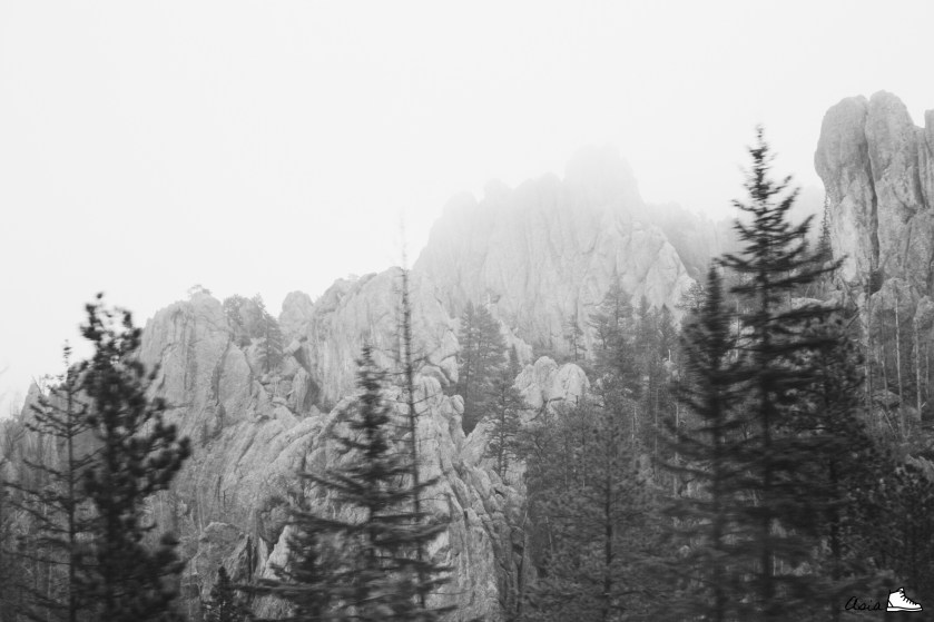Processed with VSCO with b1 preset